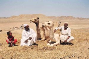 People in Sahara Desert